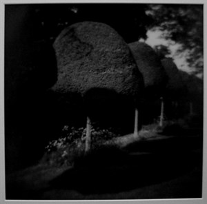 Image description is not available for 2001.007